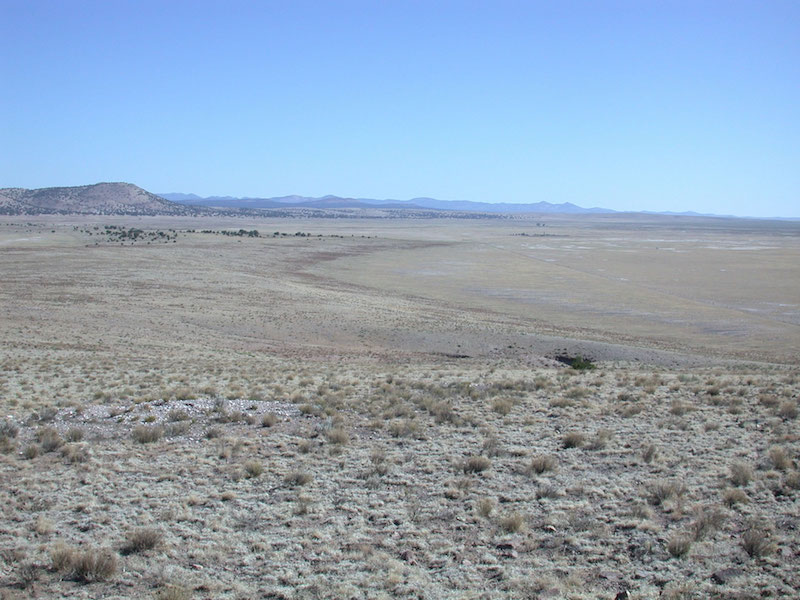 View north along the west flank of the C-N Basin. Large, prominent spit formed by 2116m paleo-lake is apparent to the left. In the distance, above and right of center of photo, as two isolated trees. They are just left of the Ake site. (V.T. Holiday)