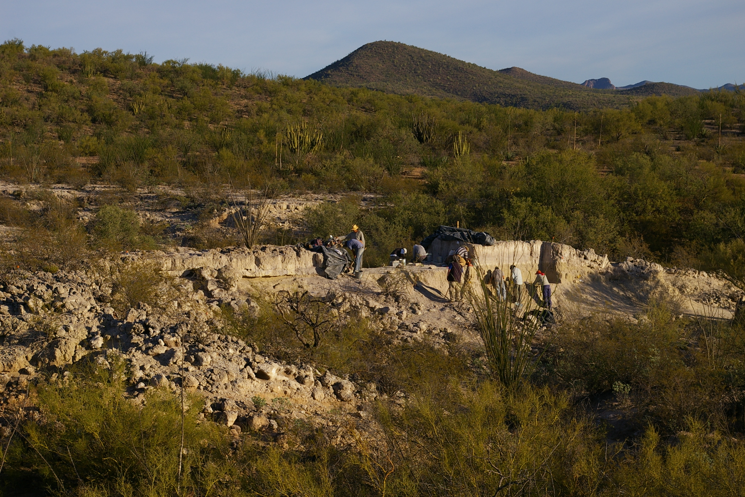 Figure 2. General photo of Locality 1 (looking northeast) with excavations under way during the first season. The flat surface within the locality that the excavators are standing on is the position of the bone bed.