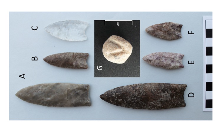 Figure 6. Artifacts from locality 1: out-of-context points (A, B, C), points found in the bone bed (D, E, F), and rounded and incised bone (G).