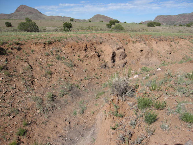 Figure 3. View of the Black Mat exposed low in the wall of No Name Arroyo.