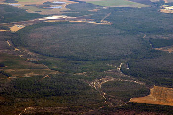 Aerial Photograph of Carolina Bays