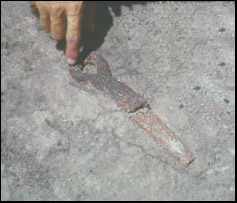 Excavated bone shaft straightner at Murray Springs. (C. V. Haynes)
