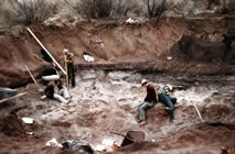 Excavations at the Lehner site, 1955, with the bone bed well exposed (Arizona State Museum).
