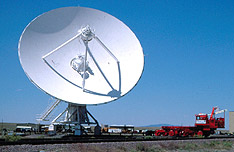 Photo courtesy of Vance T. Holliday.